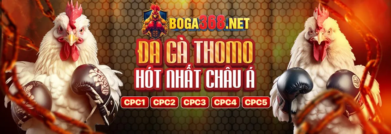 Banner khuyến mãi chào mừng thành viên win555